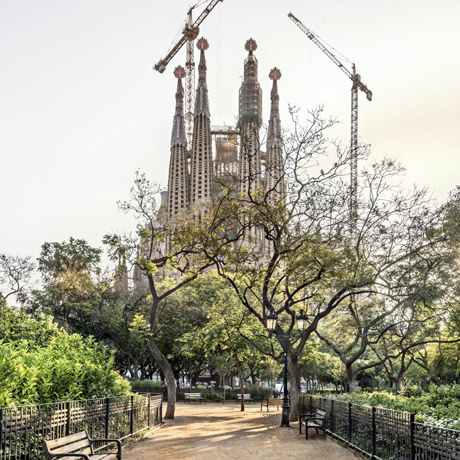 Edifici de la sagrada Família, entre els arbres